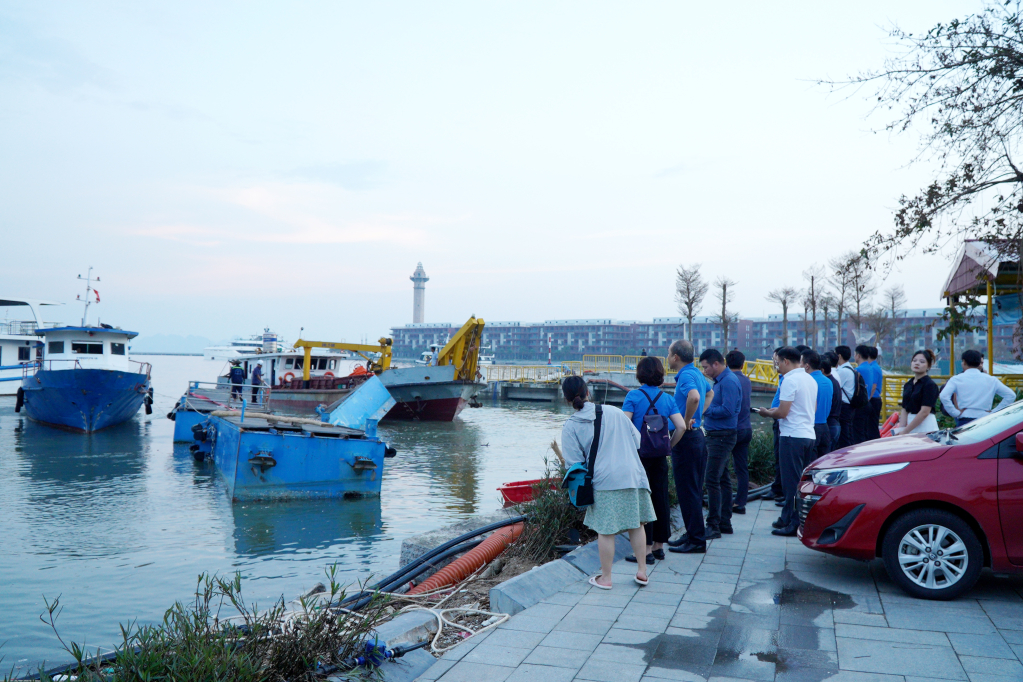 Bảo hiểm Bảo Việt ước chi bồi thường thiệt hại 573 tỷ đồng do bão tại Quảng Ninh